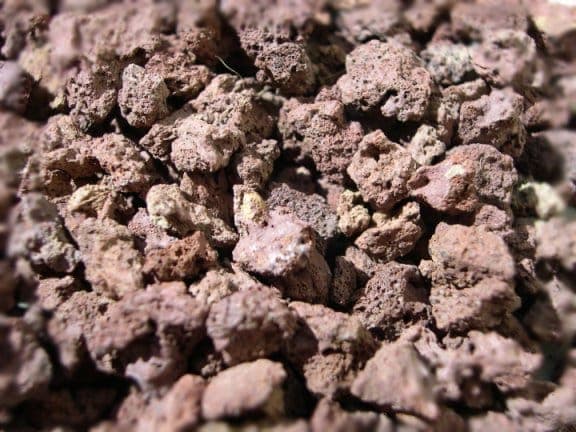 Pouzzolane pour cactus
