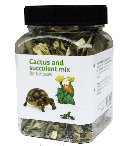 tortue succulentes amazon