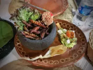 cactus comestible